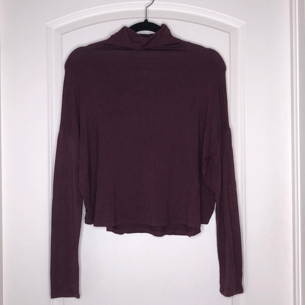 Aritzia Babaton Fitted Turtle Neck